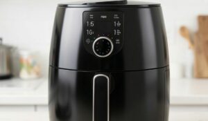 Air Fryer Fan Technology Explained[1]