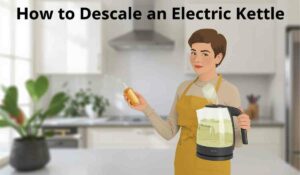 How to Descale an Electric Kettle Easily[1]