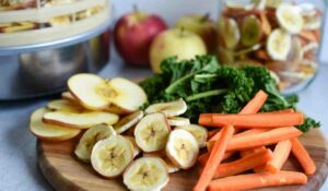 9 Healthy Snacks You Can Make With A Dehydrator[1]