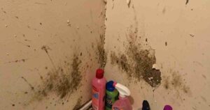 Home Maintenance Mistakes Cost Homeowners Yearly[1]