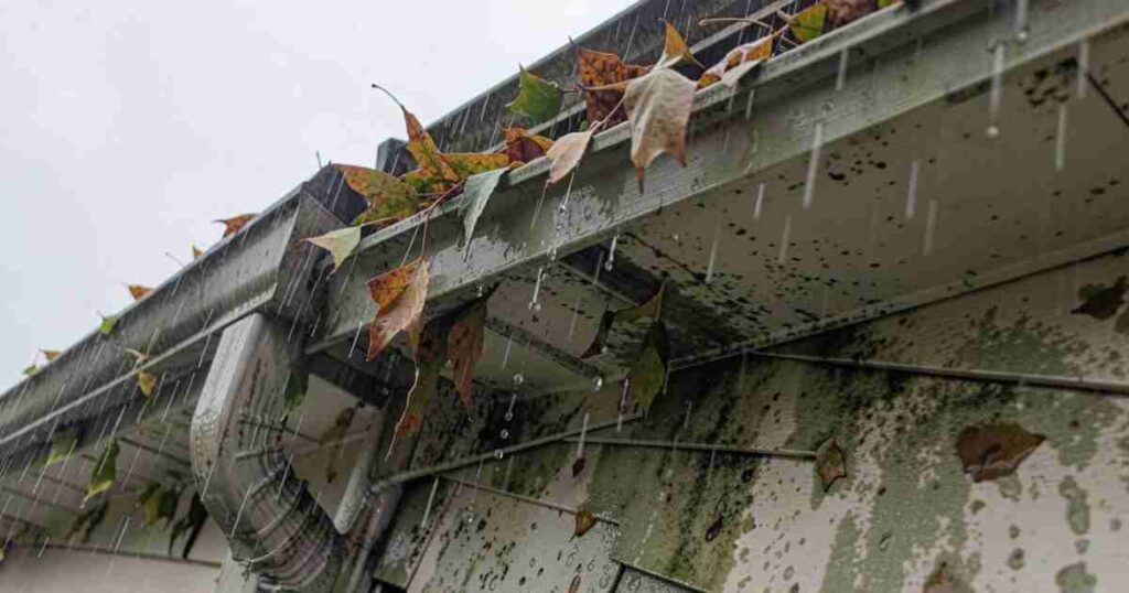 Neglecting Gutters and Downspouts