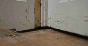 Why Doors Stick And How To Fix Them Fast[1]