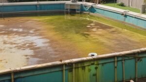 What Goes Wrong When Your Above-Ground Pool Fails Water Chemistry?